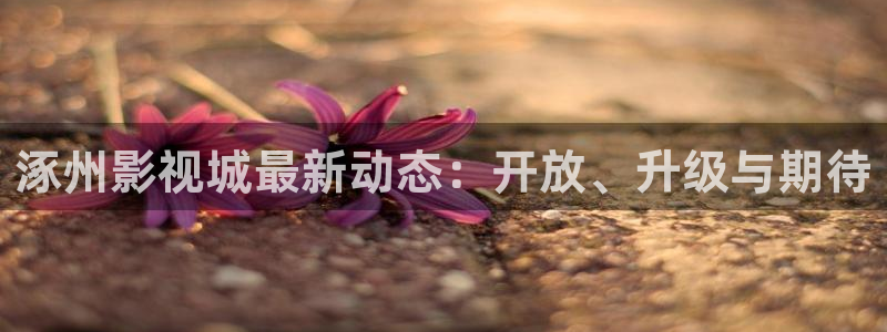 美丽的小蜜桃电影完整版：涿州影视城最新动态：开放、升级与期待
