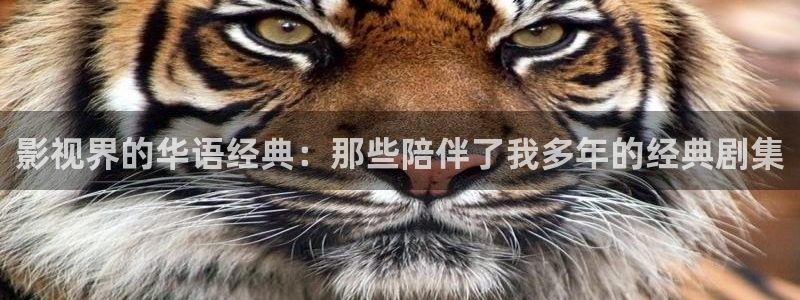 美丽的小水蜜桃电影：影视界的华语经典：那些陪伴了我多年的经典剧集