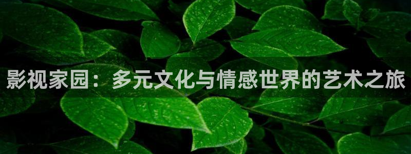 牛牛网免费福利蜜桃视频：影视家园：多元文化与情感世界的艺术之旅
