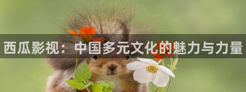美丽水蜜桃电影免费观看：西瓜影视：中国多元文化的魅力与力量