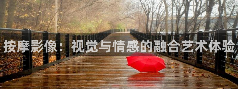 蜜桃av电影网站：按摩影像：视觉与情感的融合艺术体验