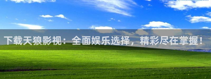 久久蜜桃在线观看：下载天狼影视：全面娱乐选择，精彩尽在掌握！