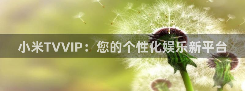 蜜桃派电影：小米TVVIP：您的个性化娱乐新平台