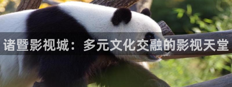 粉红小蜜桃电影：诸暨影视城：多元文化交融的影视天堂