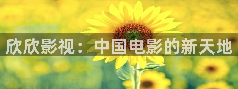 蜜桃视频在线观看你懂的：欣欣影视：中国电影的新天地