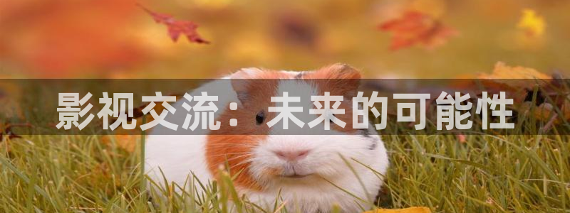 蜜桃毛片影院：影视交流：未来的可能性