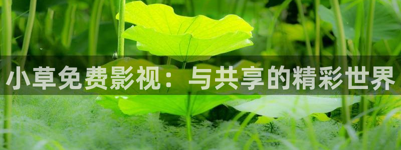 蜜桃 影视：小草免费影视：与共享的精彩世界